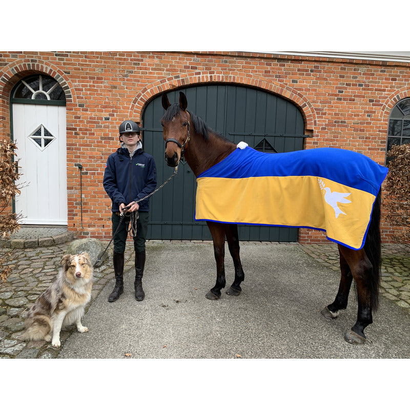 Abschwitzdecke Peace Ukraine