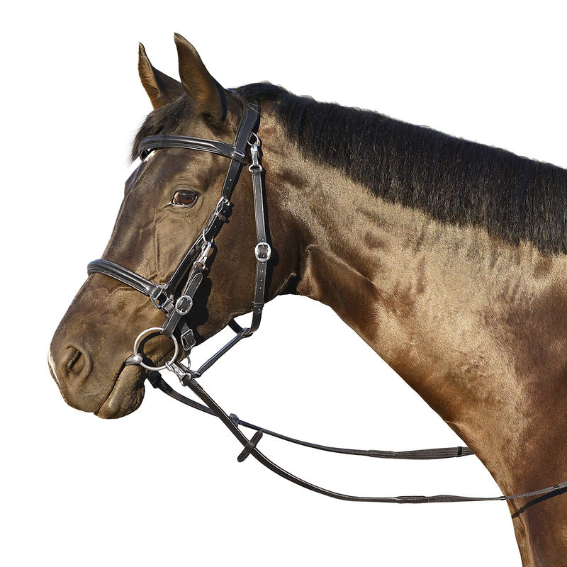 Trense Halfter Kombi Berlou, Euro-Club