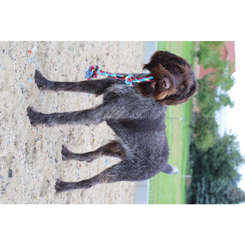 Hundespielzeug, Tau