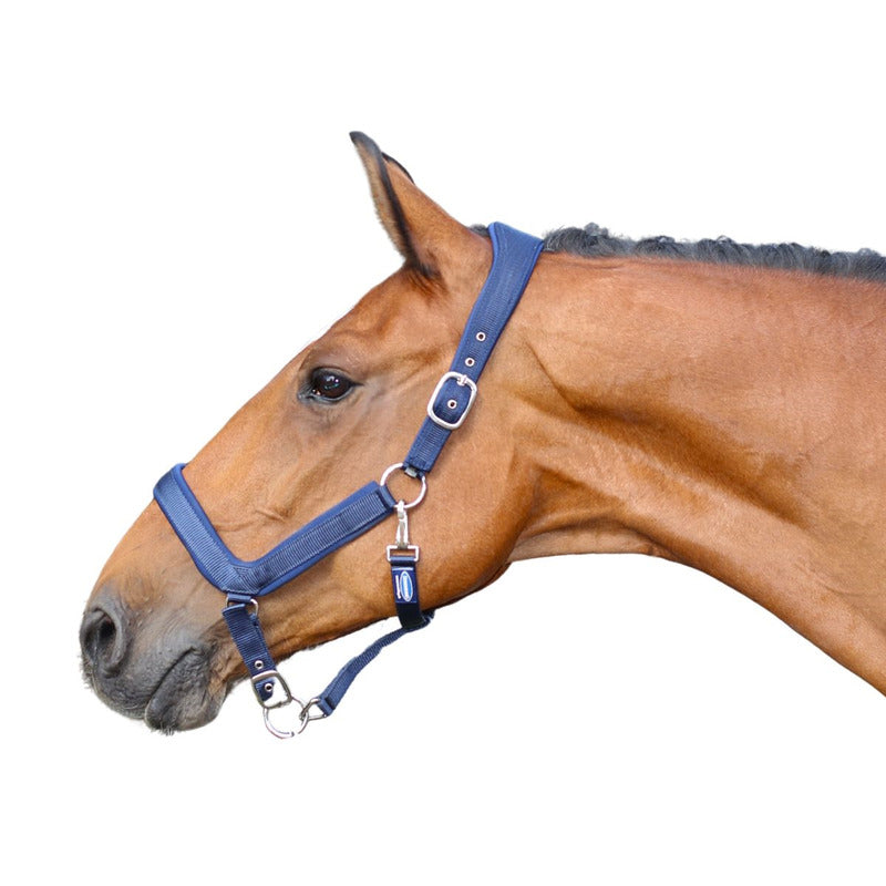 Halfter Nylon anatomisch