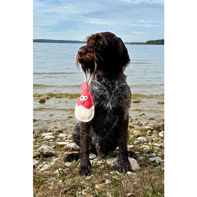 Hundespielzeug, Küken Albert