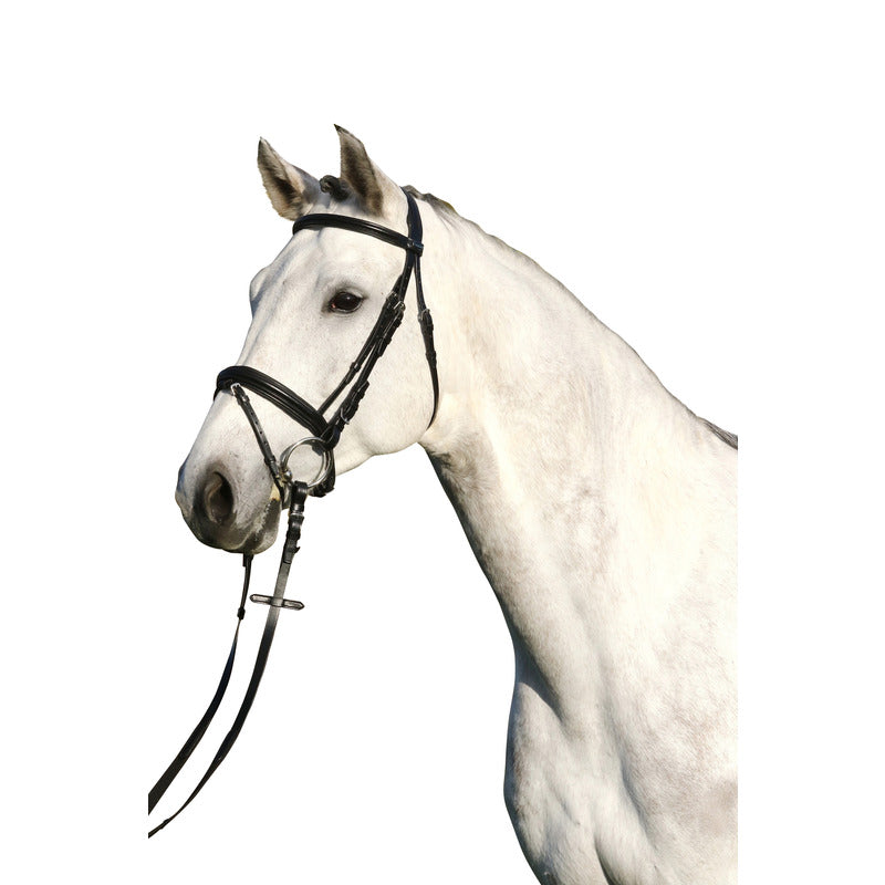 Trense Paris, englisches Reithalfter, Euro-Club