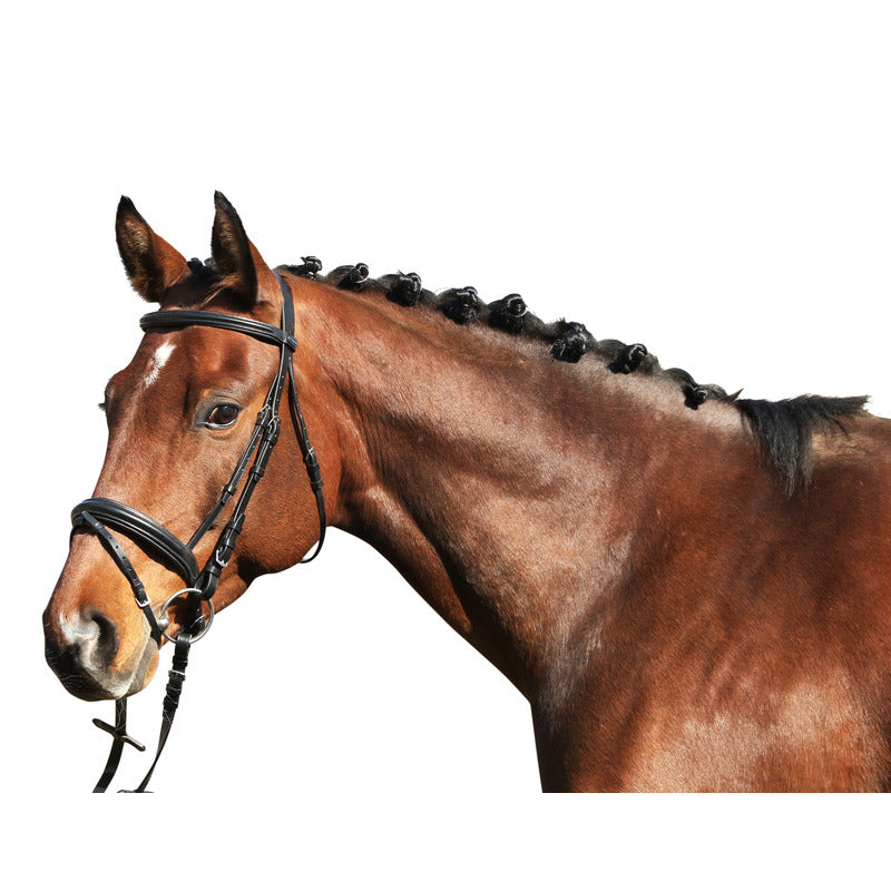 Trense Marseille, englisches Reithalfter, Euro-Club