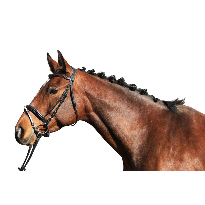 Trense Lyon, englisches Reithalfter, Euro-Club