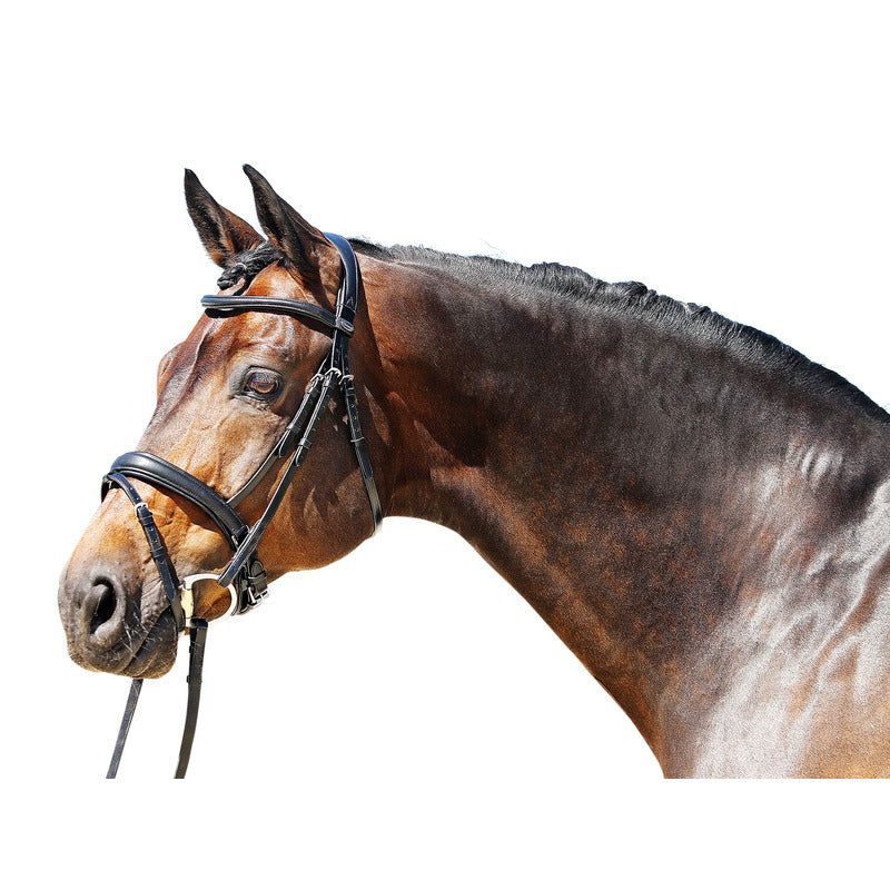 Trense Super Soft, schwedisches Reithalfter, Euro-Club