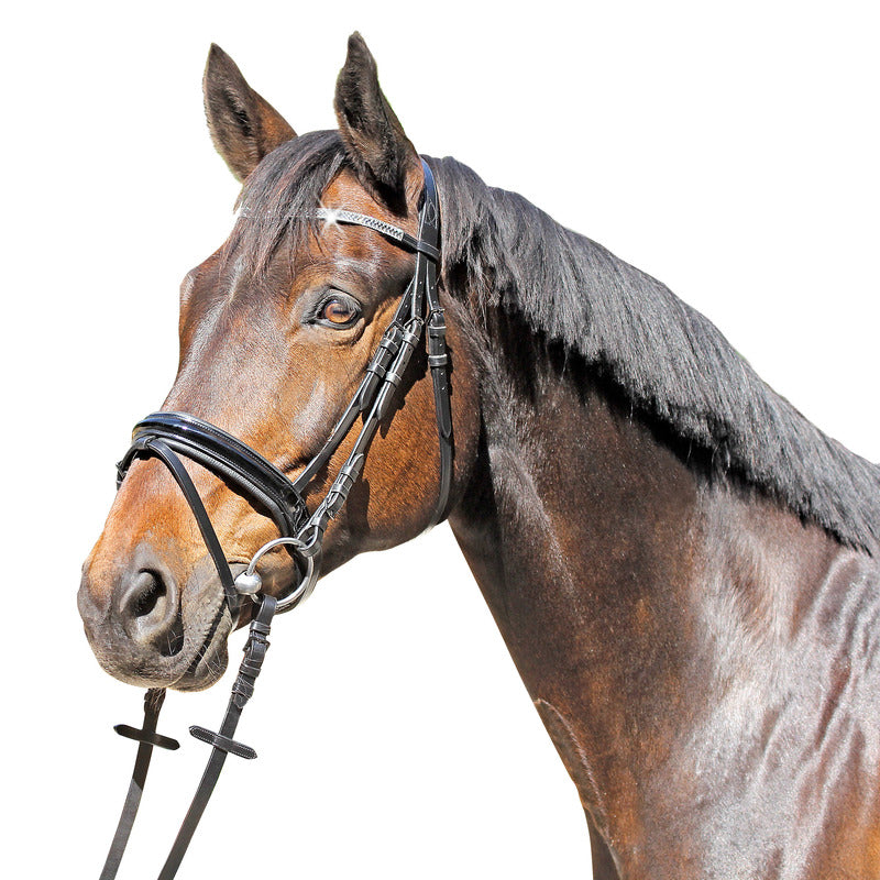 Trense Grasse, schwedisches Reithalfter Lack Glitzer, Euro-Club