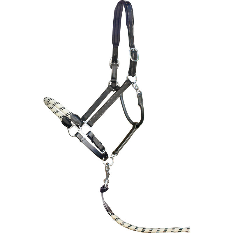Halfter Rope, Leder, Euro-Club