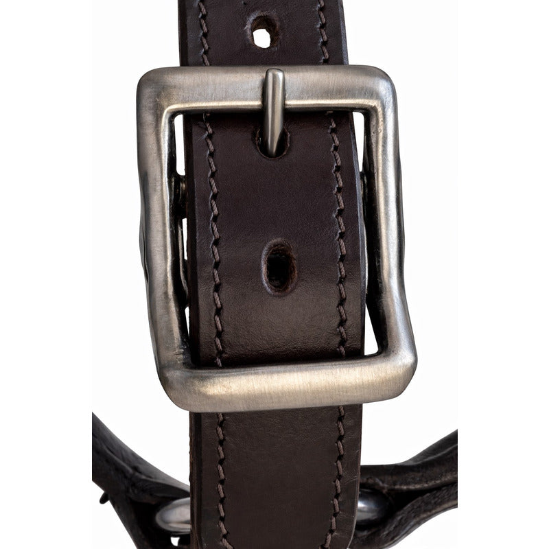 Halfter Leder British Line