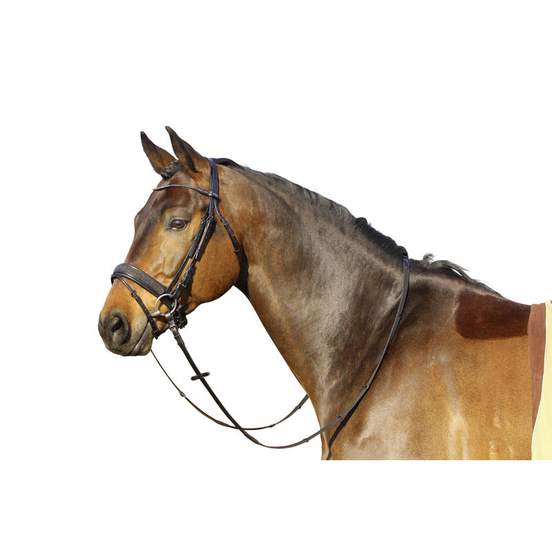 Trense Black Sensation, schwedisches Reithalfter, British Line