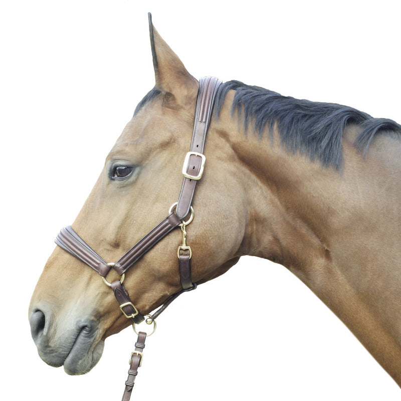 Halfter Boston, Natural Line