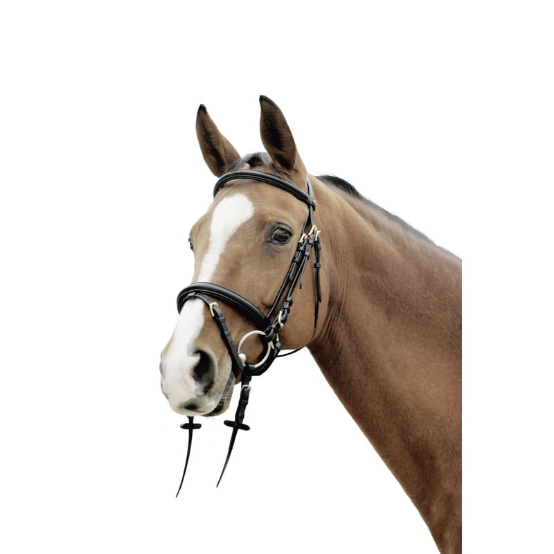 Trense Sarasota, schwedisches Reithalfter, Natural Line