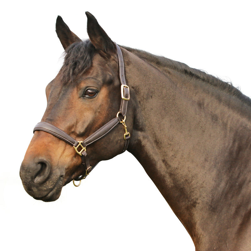 Halfter Oakland, Super Soft, Natural Line