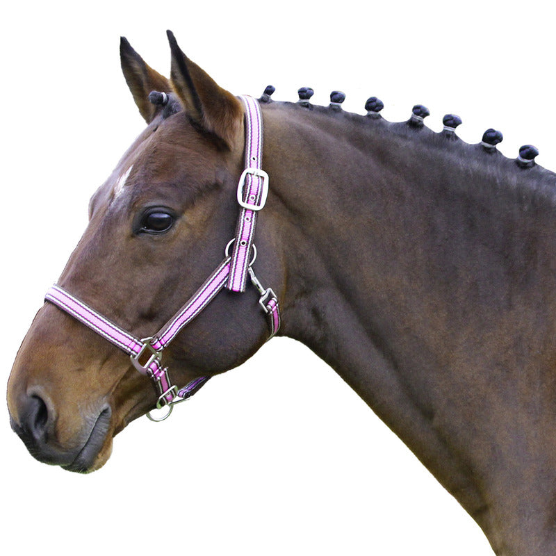 Halfter Comfort Nylon, unterlegt