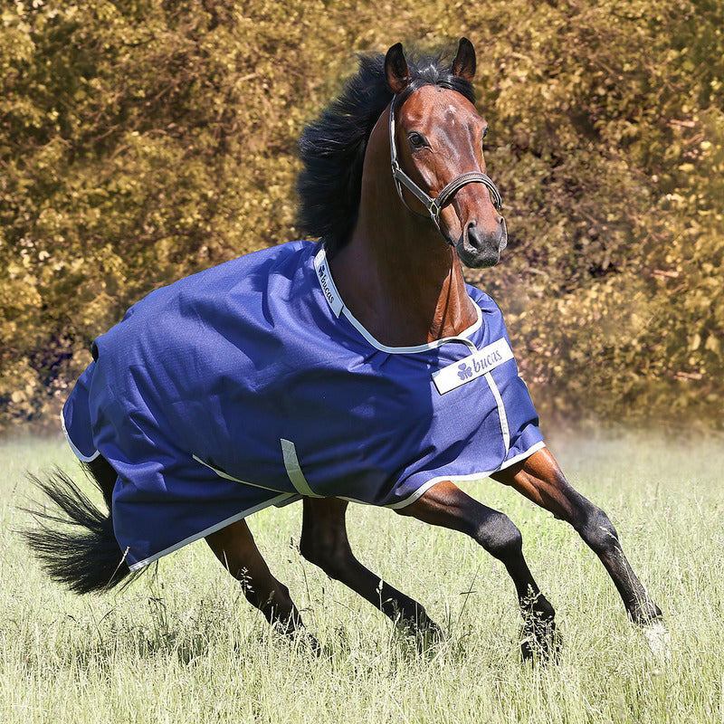 Outdoor Decke Bucas Euroriding Turnout Light