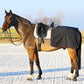 Softshell Nierendecke