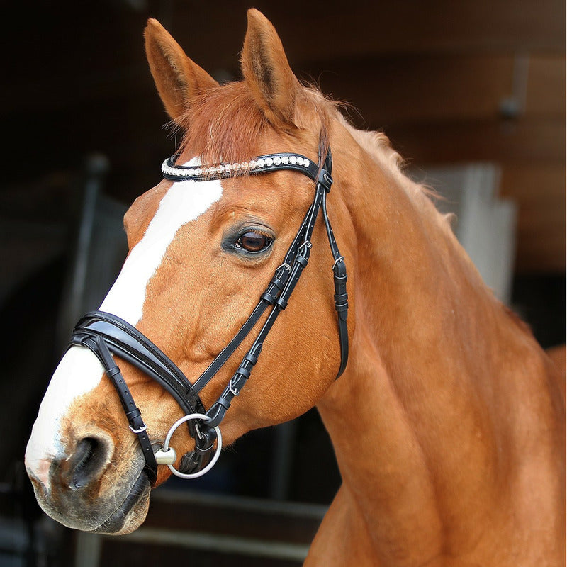Trense Barfleur, schwedisches Reithalfter, ohne Zügel, Euro-Club