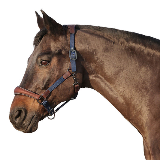 Halfter Mellac, Nylon/Leder, Euro-Club