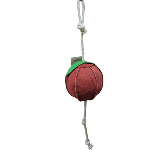 Pferdespielzeug, Apfel