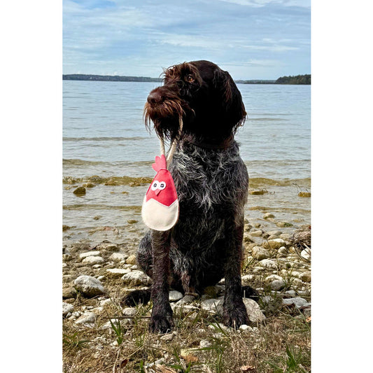 Hundespielzeug, Küken Albert
