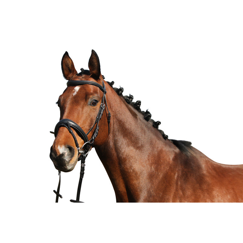 Trense Nantes, schwedisches Reithalfter, Euro-Club