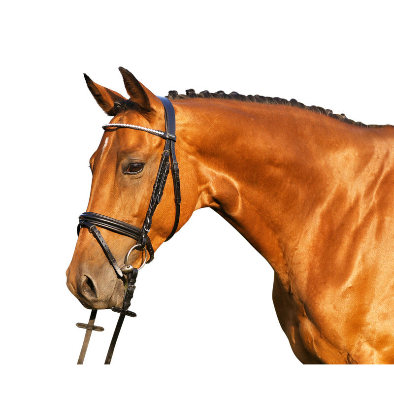 Trense Royan, englisches Reithalfter Diamonds, Euro-Club