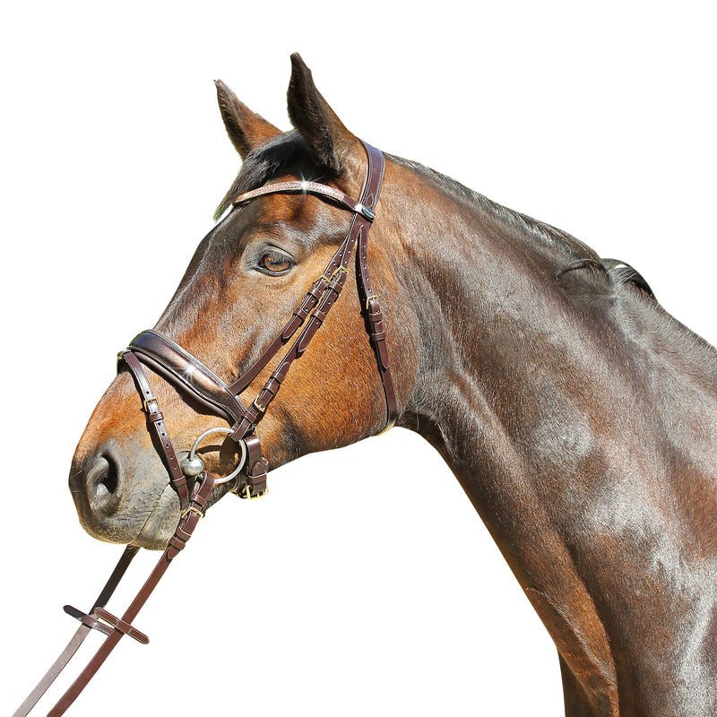 Trense Versailles, schwedisches Reithalfter Lack Glitzer, Euro-Club