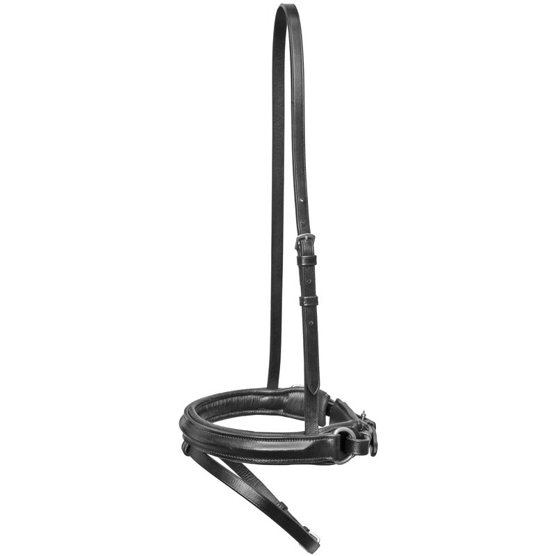 Reithalfter Sarry, schwedisch, Euro-Club