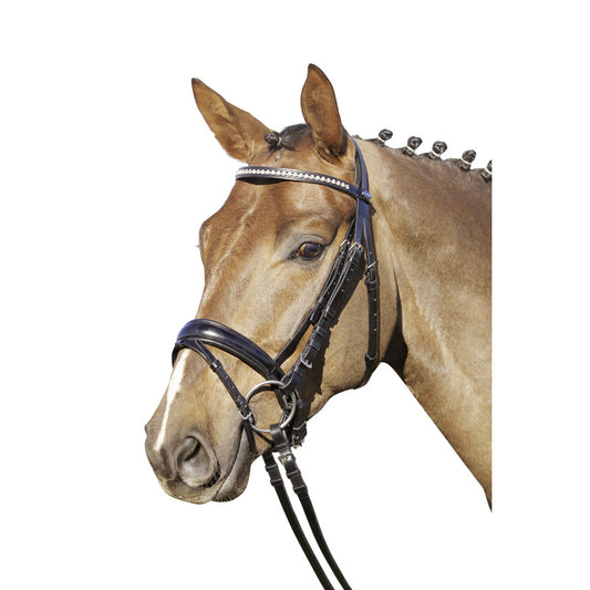 Trense London, schwedisches Reithalfter, British Line