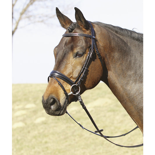 Trense London, schwedisches Reithalfter, British Line