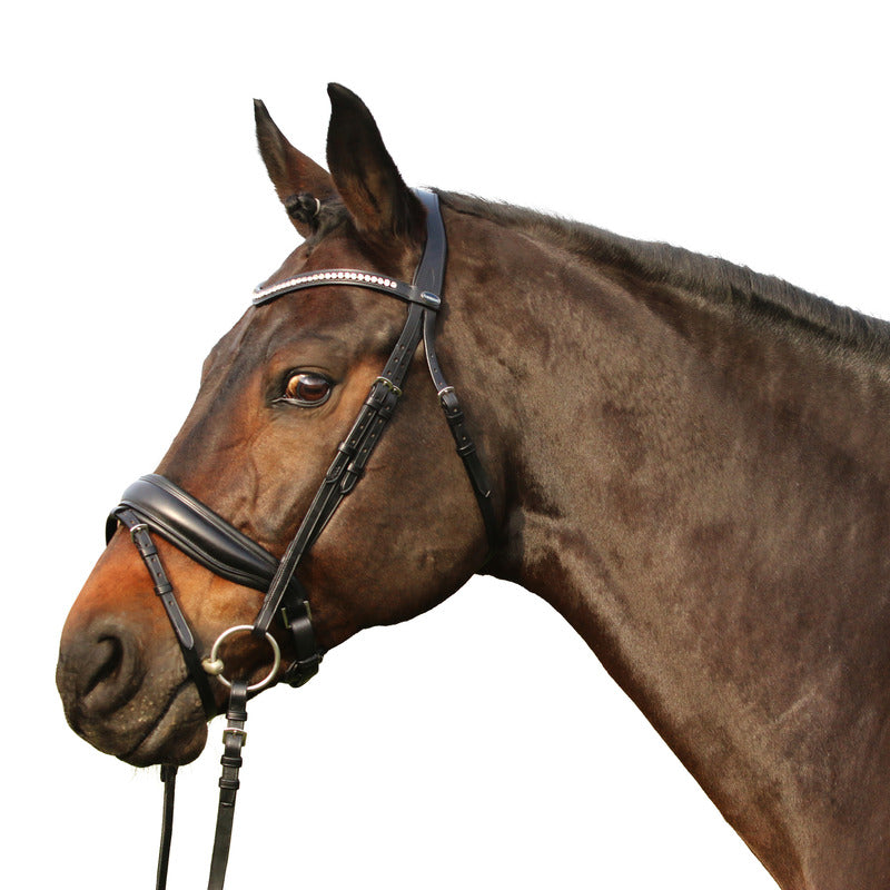 Trense Westminster, schwedisches Reithalfter, British Line