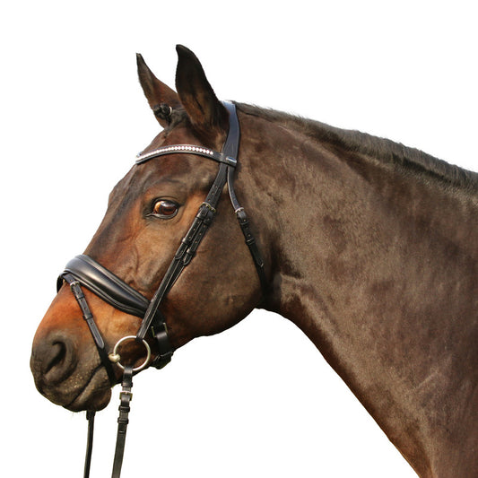 Trense Westminster, schwedisches Reithalfter, British Line