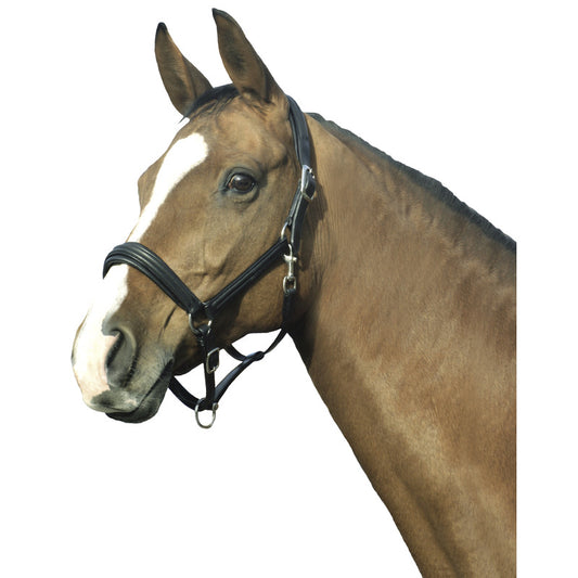 Halfter Boston, Natural Line