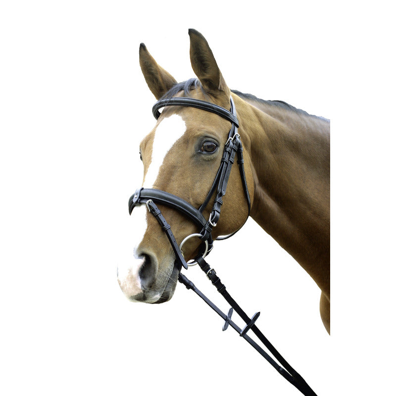 Trense Denver, englisches Reithalfter, Natural Line