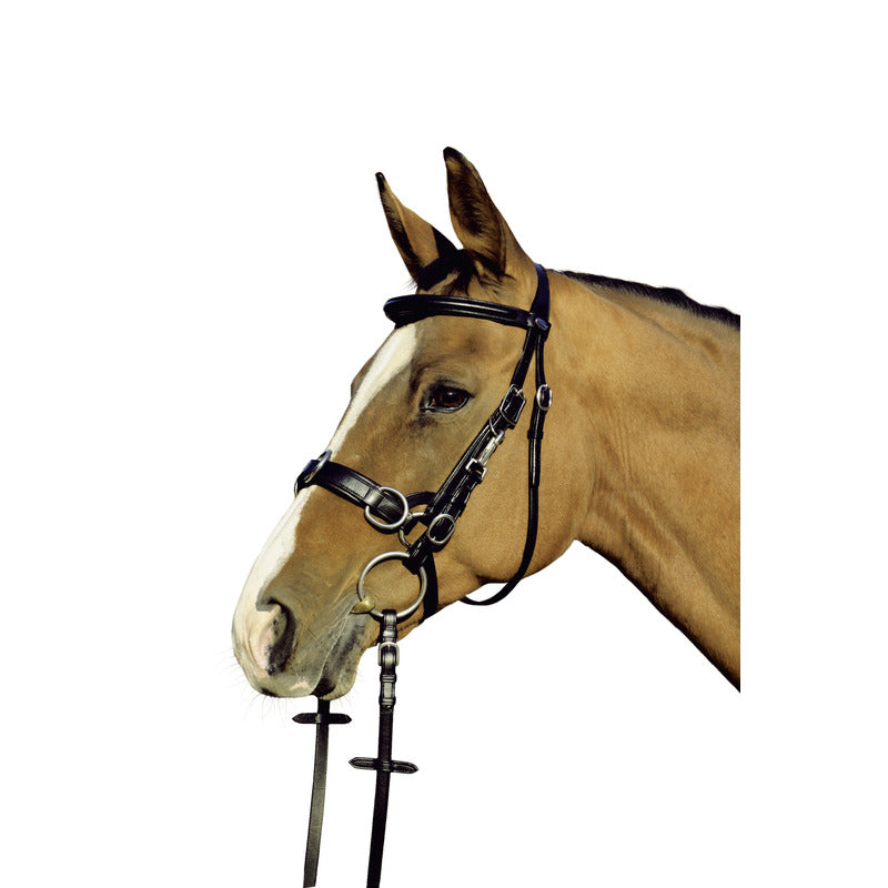 Trensen Kappzaum Leder Atlanta, Natural Line