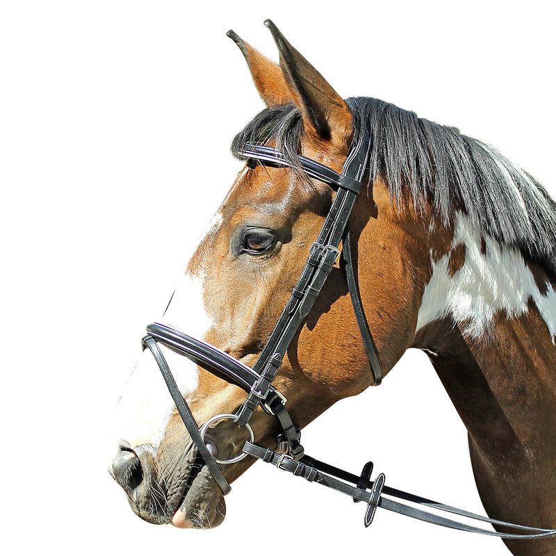 Trense Baltimore schwedisches Reithalfter, Natural Line