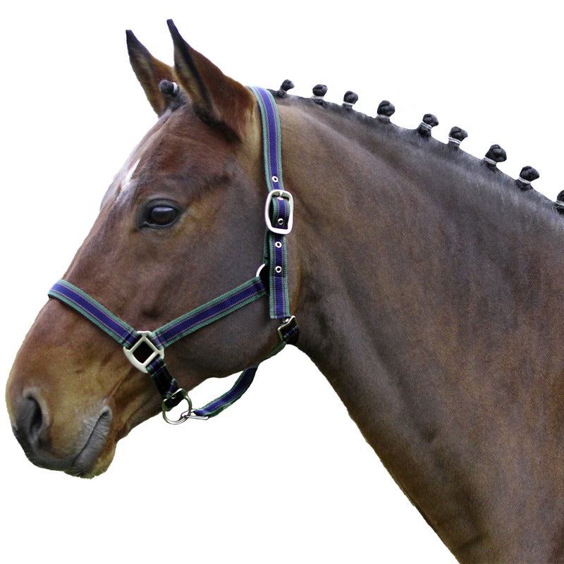 Halfter Comfort Nylon, unterlegt