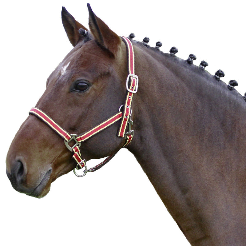 Halfter Comfort Nylon, unterlegt